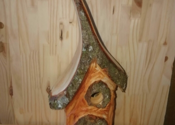 Nichoir à oiseaux en bouleau